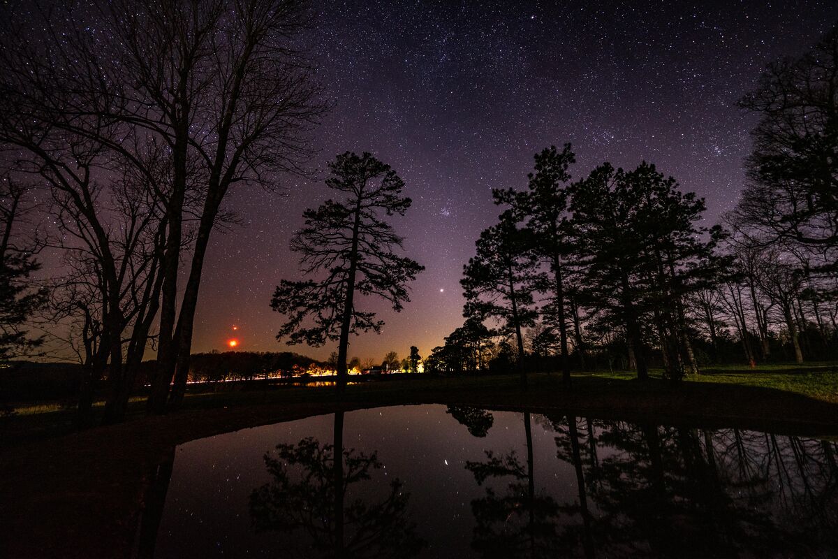 Pond, purple hour